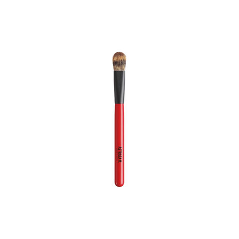 Chantilly Astraea V Eyeshadow B Pine 日本 香缇 Chantilly Astraea V Eyeshadow B Pine — 家禾贸易集团美国批发供应